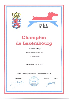 Lord of Greyskull - CHAMPION DE LUXEMBOURG.